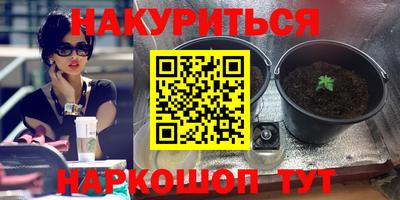 хмурый Краснознаменск