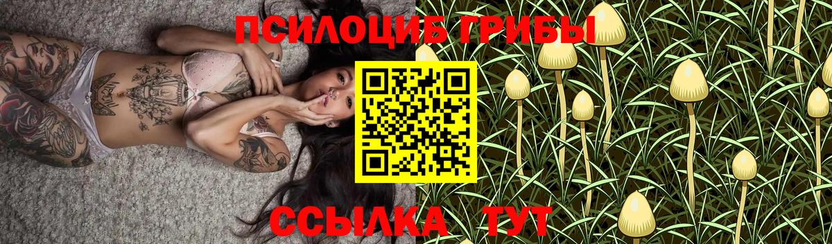 Зеленодольск  Галлюциногенные грибы Cubensis  Вход с VPN 